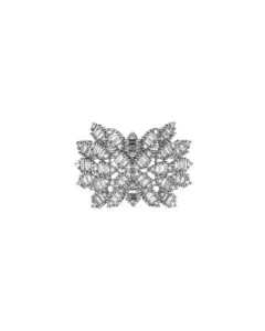 Stacked from 5 images. Method=B (R=8,S=4)